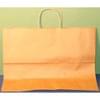 16X6X12 Kraft Shopping Bag 250/Case