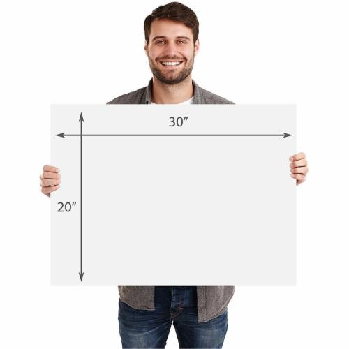 Geographics Royal Brites Foam Poster Board - School Project, Presentation, Crafting, Sign - 20" Width x 30" Depth x 180 mil Thickness - White - Foam - 10 / Carton