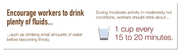 Heat Stress Plenty Of Water Infographic