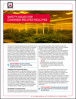 Safety Issues for Cannabis Facilities