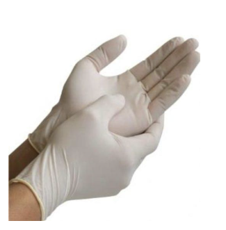 Glove, Latex, XL, PF (100)