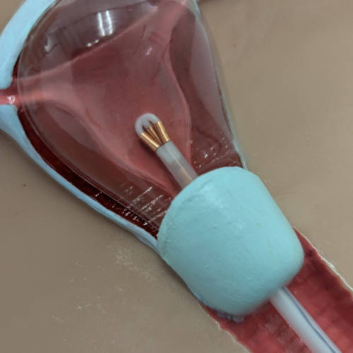 Anatomy Lab IUD Insertion Model I = 900-104452