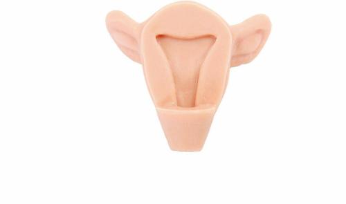 Anatomy Lab IUD Insertion Model III