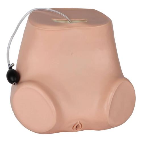 Anatomy Lab Advanced Gynecological Examination Simulator = 900-106801