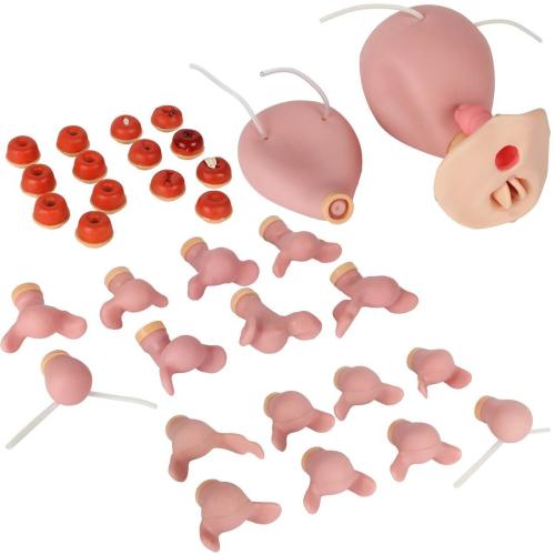 Anatomy Lab Advanced Gynecological Examination Simulator = 900-106801