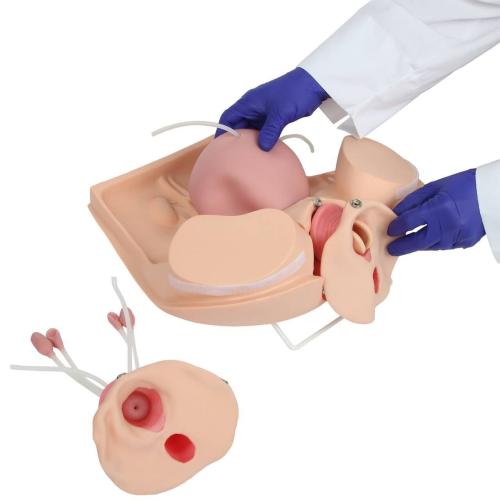 Anatomy Lab Advanced Gynecological Examination Simulator = 900-106801