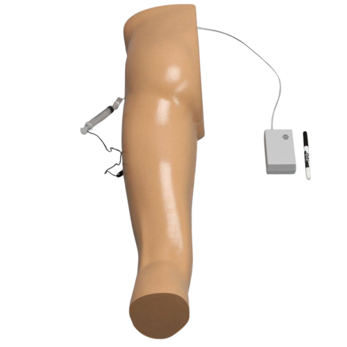Soft Tissue Hip Injection Model with Skin = 900-107179