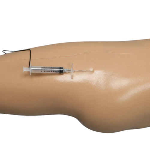 Soft Tissue Hip Injection Model with Skin = 900-107179
