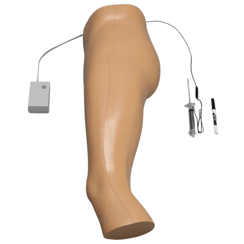 Soft Tissue Hip Injection Model with Skin