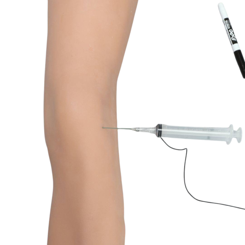 Soft Tissue Knee Injection Model with Skin = 900-107363