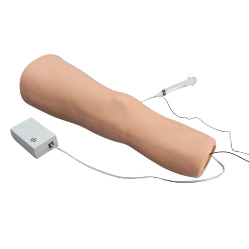 Soft Tissue Knee Injection Model with Skin