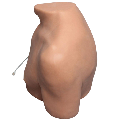 Soft Tissue Shoulder Injection Trainer with Skin = 900-107684