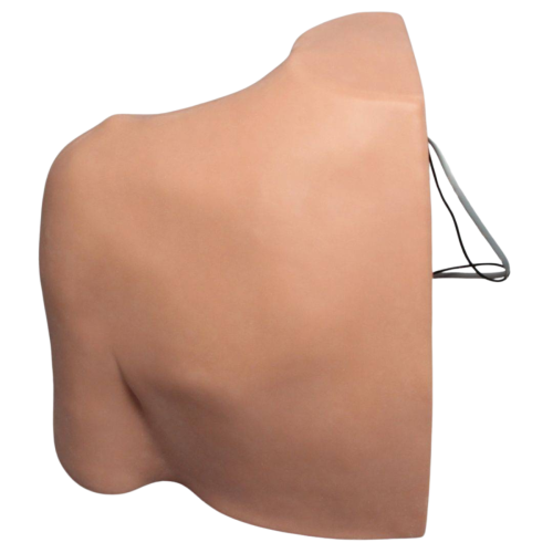 Soft Tissue Shoulder Injection Trainer with Skin = 900-107684