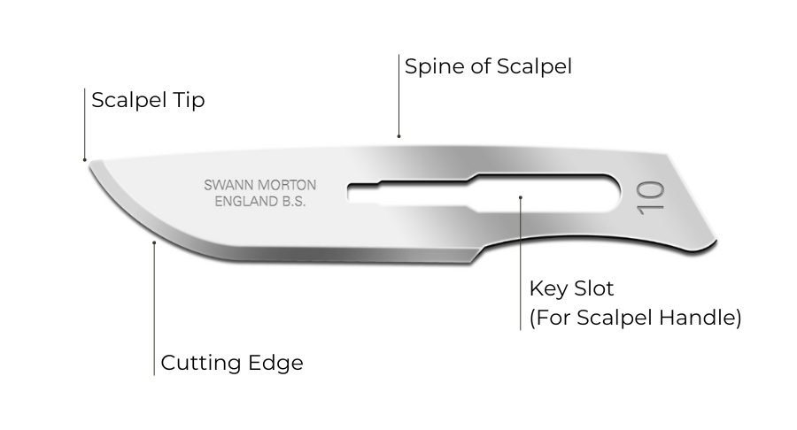 Scalpel Blade Sizes An Overview Scalpel Blade Sizes An Overview