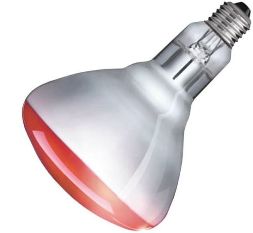 PHI 415836 250R40/HR120V 4/1 TP 250W HEAT LAMP RED