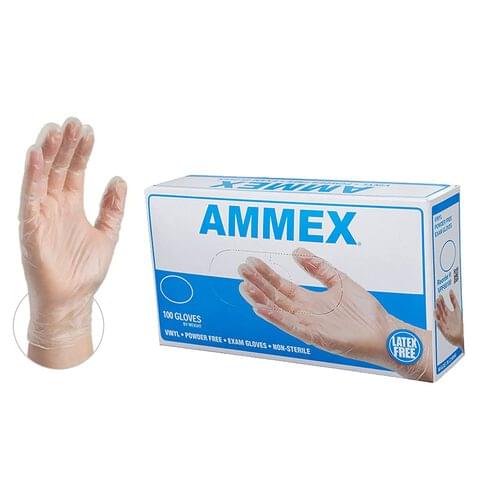 AMMEX Clear Vinyl Gloves - Large