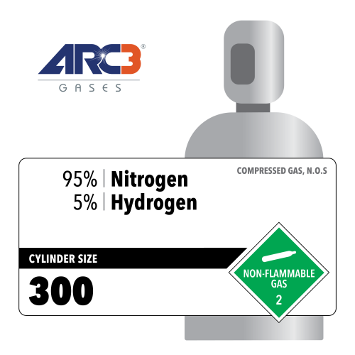 Nitrogen 95% Hydrogen 5% Industrial Mix size 200