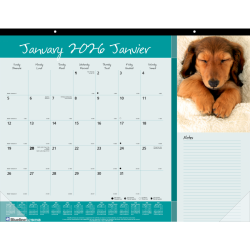 Blueline Man's Best Friend Monthly Desk Pad Calendar 22"x 17" , Bilingual - Julian Dates - Monthly - January - December - 1 Month Single Page Layout - 17" x 22" Sheet Size - Desk Pad - Paper - Bilingual, Notes Area, Tear-off, Event Planning Shee - Calendar Desk Pads - BLIC194116B