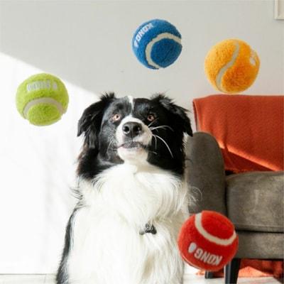 KONG Sport Softies Balls 3-pk Assorted Md - Dog - Medium - Ball Shape - Plush - Assorted - 3 Pack - Pet Supplies - GNTDD3267