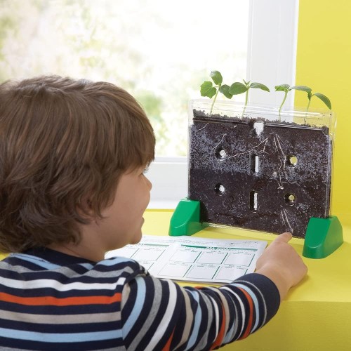 Educational Insights Sprout & Grow Window - Creative Learning - EII5101