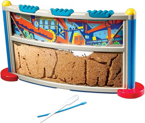 GeoSafari Ant Factory - Theme/Subject: Animal, Learning - Skill Learning: Ecology, Habitat, Observation, Ants - 5 Year