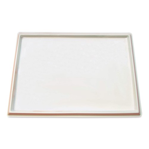 Fingerpaint No Mess Tray - Paint Trays - ROY7512