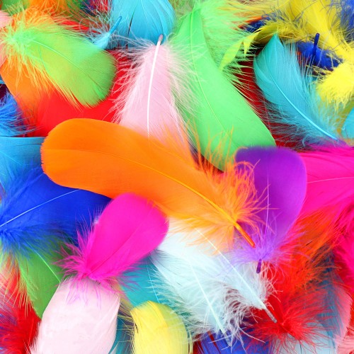 Bright Feathers - 100g Pack - Feathers & Cotton Balls - DBG47750