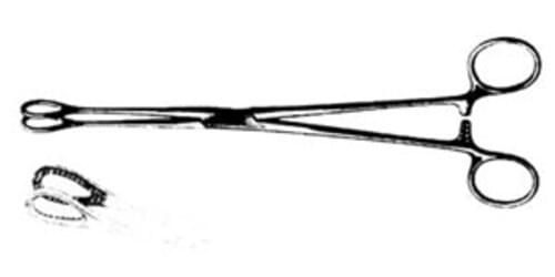 Foerster Sponge Forceps Straight Serrated 9"