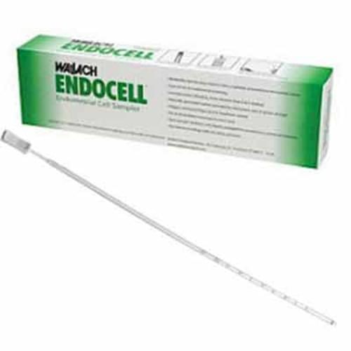 Endometrial Cell Sampler