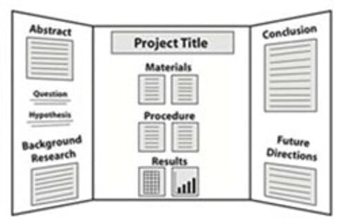 Science Project Display Board, 48" X 70"