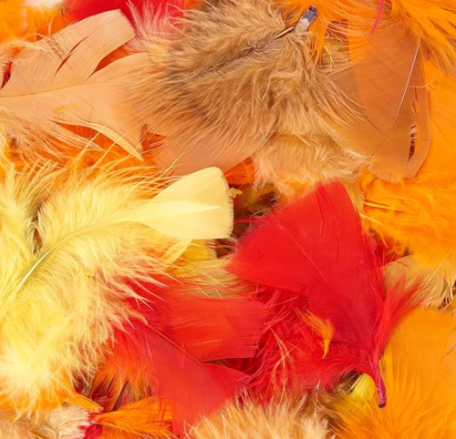 Autumn Coloured Feathers