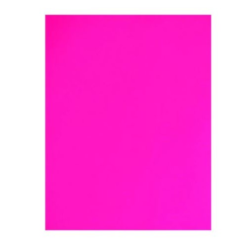 Bristol Board 4 Ply, Fluorescent Pink, 22" X 28" - 1 Each - Bristol Board & Poster Board - NPPR0153114