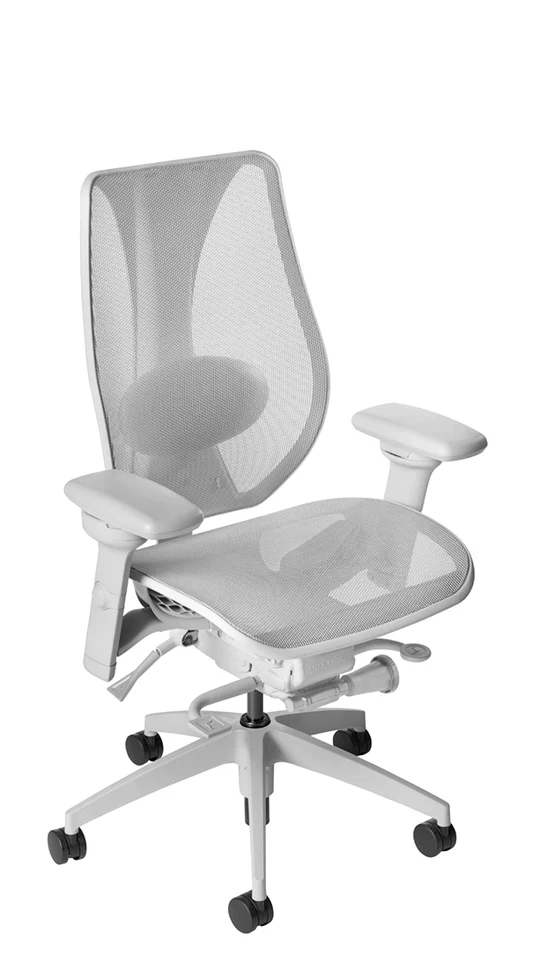 Task & Ergonomic Chairs