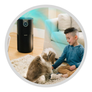 Air Purifiers