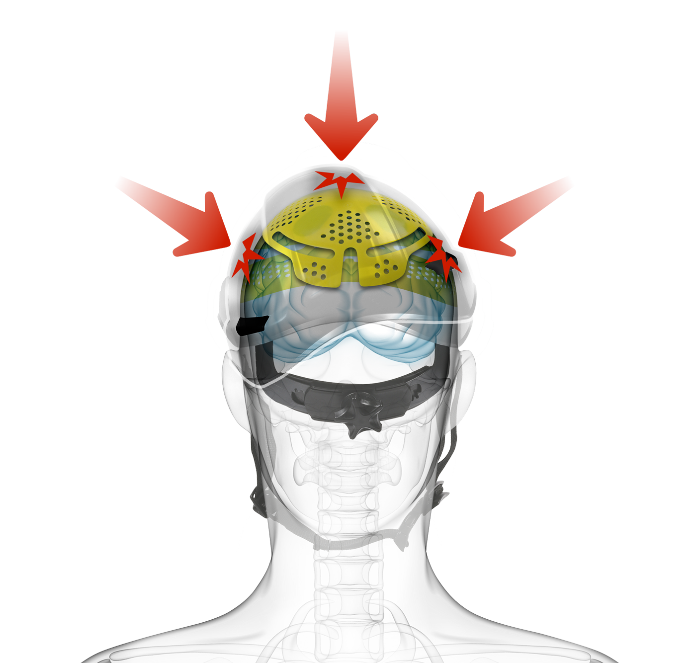 Introducing Mips&reg; Technology