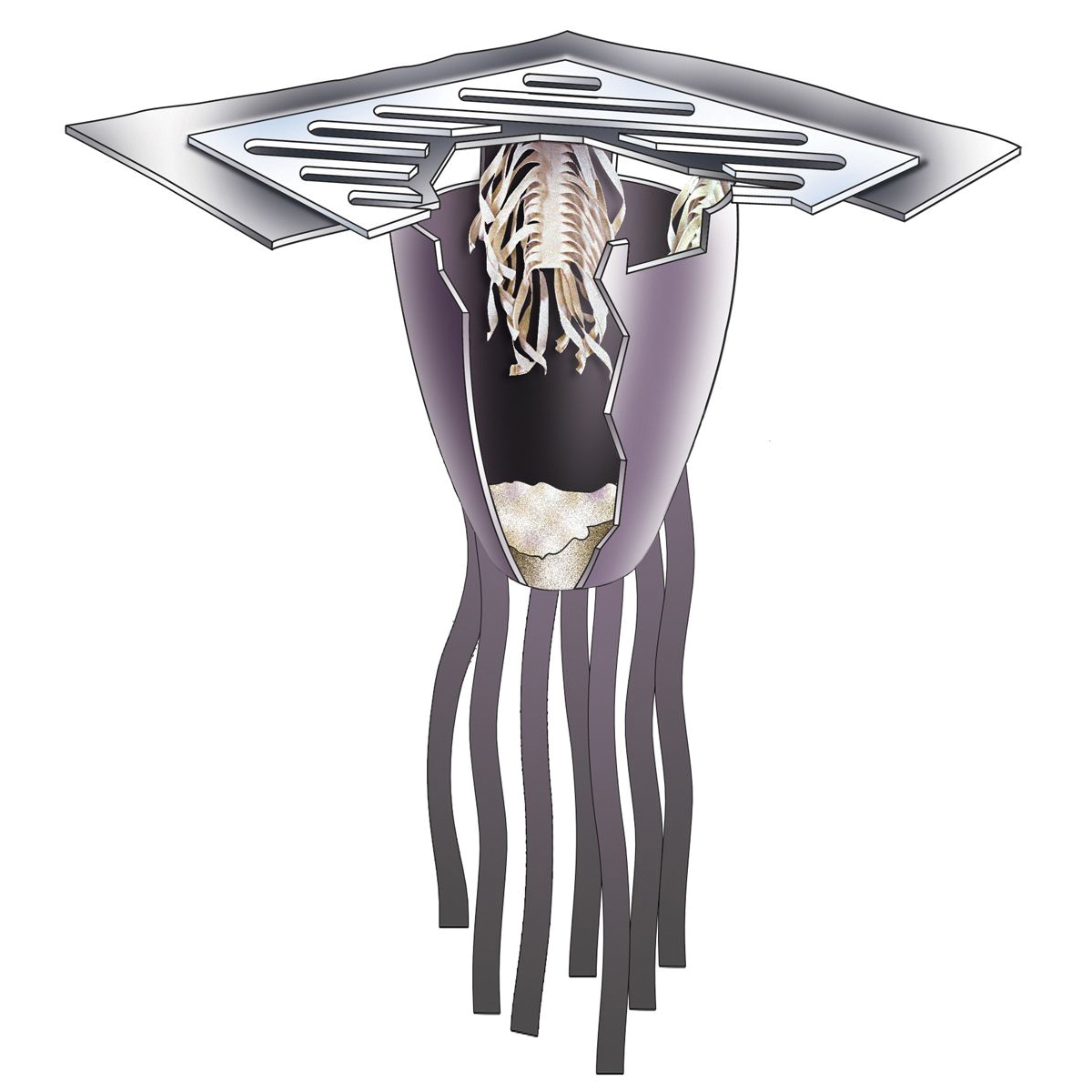 INSERT BASIN CATCH 500GPM 48IN 36IN 38IN
