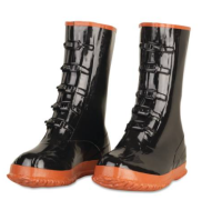 5-Buckle boots