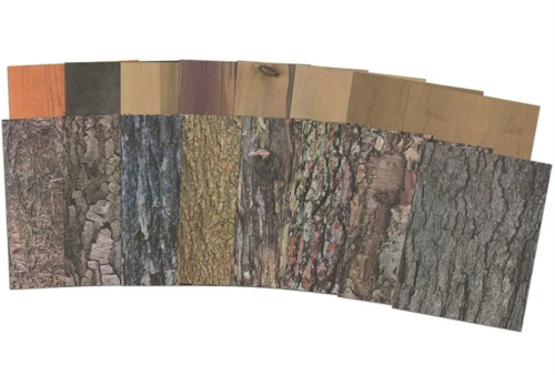 Roylco Terrific Tree Craft Paper,22 x 28 cm, 8 Double-Sided Designs, 32 Sheets/pkg