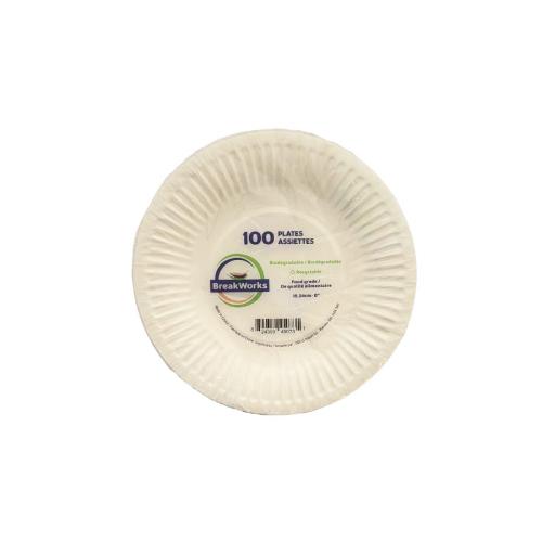 9" white paper plates 100/bg
