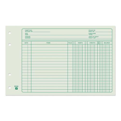 Blueline® Ledger Binder Sheets 6x9-1/2" 100/pkg