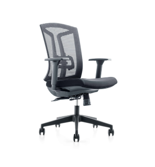 Heartwood Echo Mid-Back Chair, Black