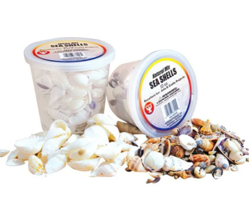 Bucket O'Sea Shells 16Oz