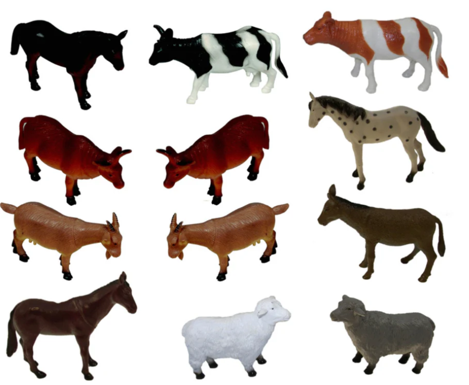 Animals