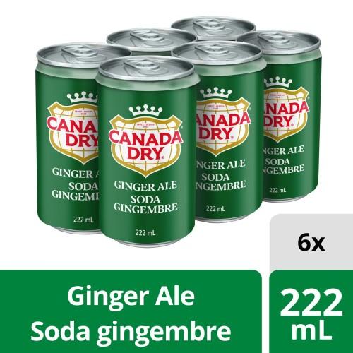 CANADA DRY GINGER ALE 222ml 6/CASE