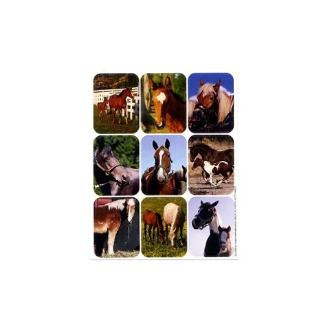 STICKERS 36/PKG HORSES