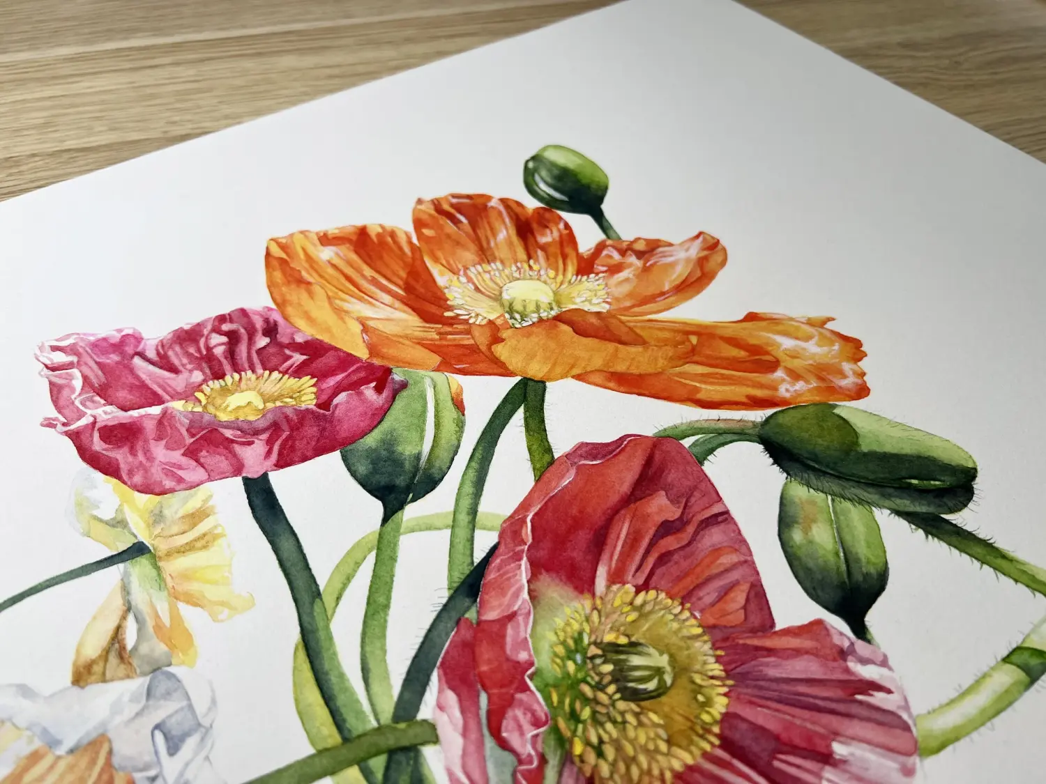 WATERCOLOUR PAPER  90lb, 22" x 30", 25/PKG