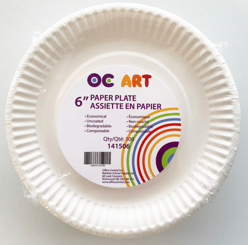 PAPER PLATES WHITE PK/100 6"
