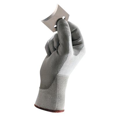 Hand Protection
