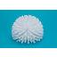 45006EC02 - Pipe and Valve Brush 6" - White