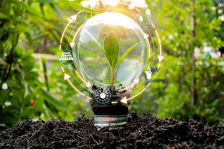 Lightbulb in forest, with a growing plant insde it, surrounded by green energy icons